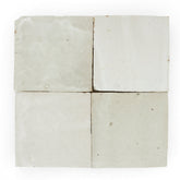 Oyster Shell